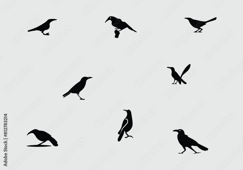 minimal style Common Grackle icon illustration design minimal style Common Grackle icon illustration design
