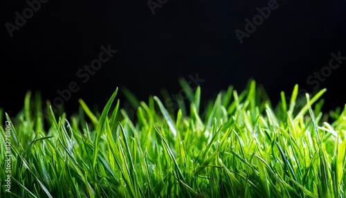 green lawn illuminated by light and black background