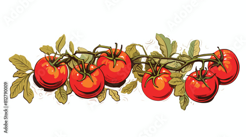 Branch of tomatoes with engraving sketch vector ill