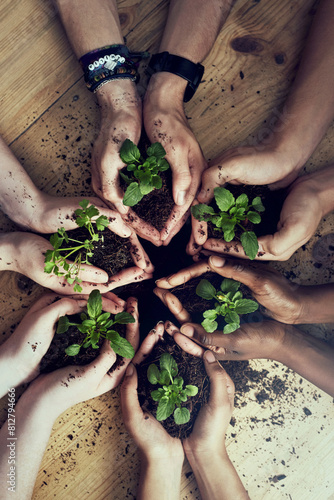 Fotografi Soil, hands or plant top view for agriculture, sustainability and earth day support and teamwork