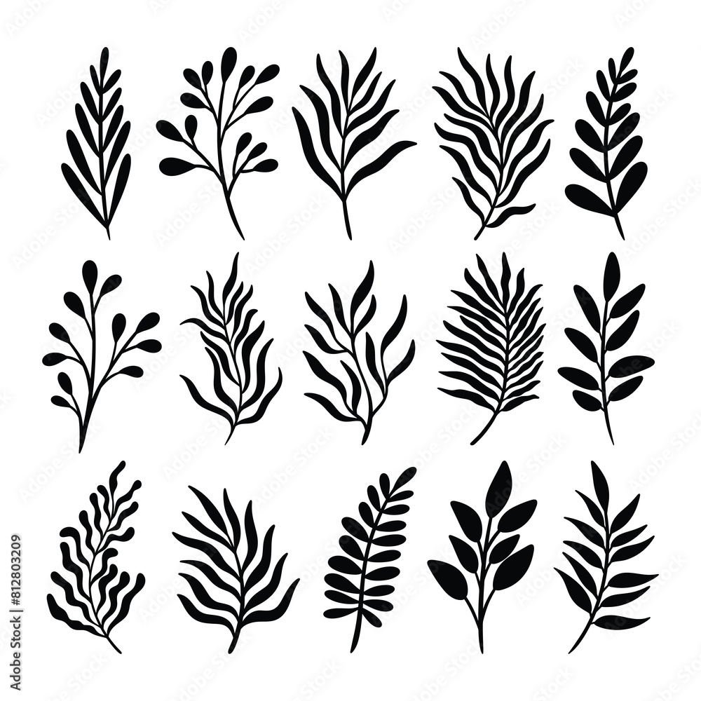 set of silhouettes of leaves
set of silhouettes of leaves