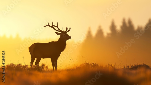 Regal Deer Silhouette Majestic Wildlife Wallpaper for a Peaceful Home or Office Decor