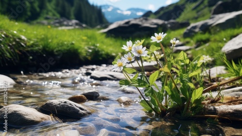 A small flower in the grass by a stream with a mountain in the background 