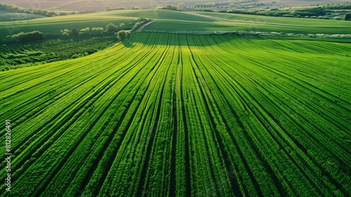 Aerial view of vibrant green farmland. Sustainable agriculture and environmental conservation concept