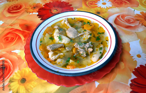 Hot vegetable and meat soup