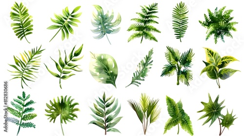 Tropical Foliage Assortment Vibrant Green Leaves Natural Plant Specimens Botanical Arrangement Decor Design Studio