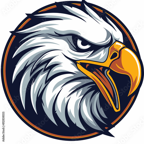 Graphics of angry Eagle in sports graphic logo