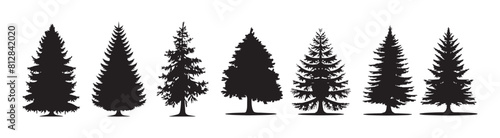 Set of pine trees silhouette isolated on white background. Seven wild nature trees templates in Black.