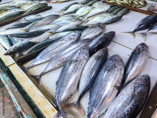 Fresh tuna or tongkol caught by fishermen is sold in traditional markets photo