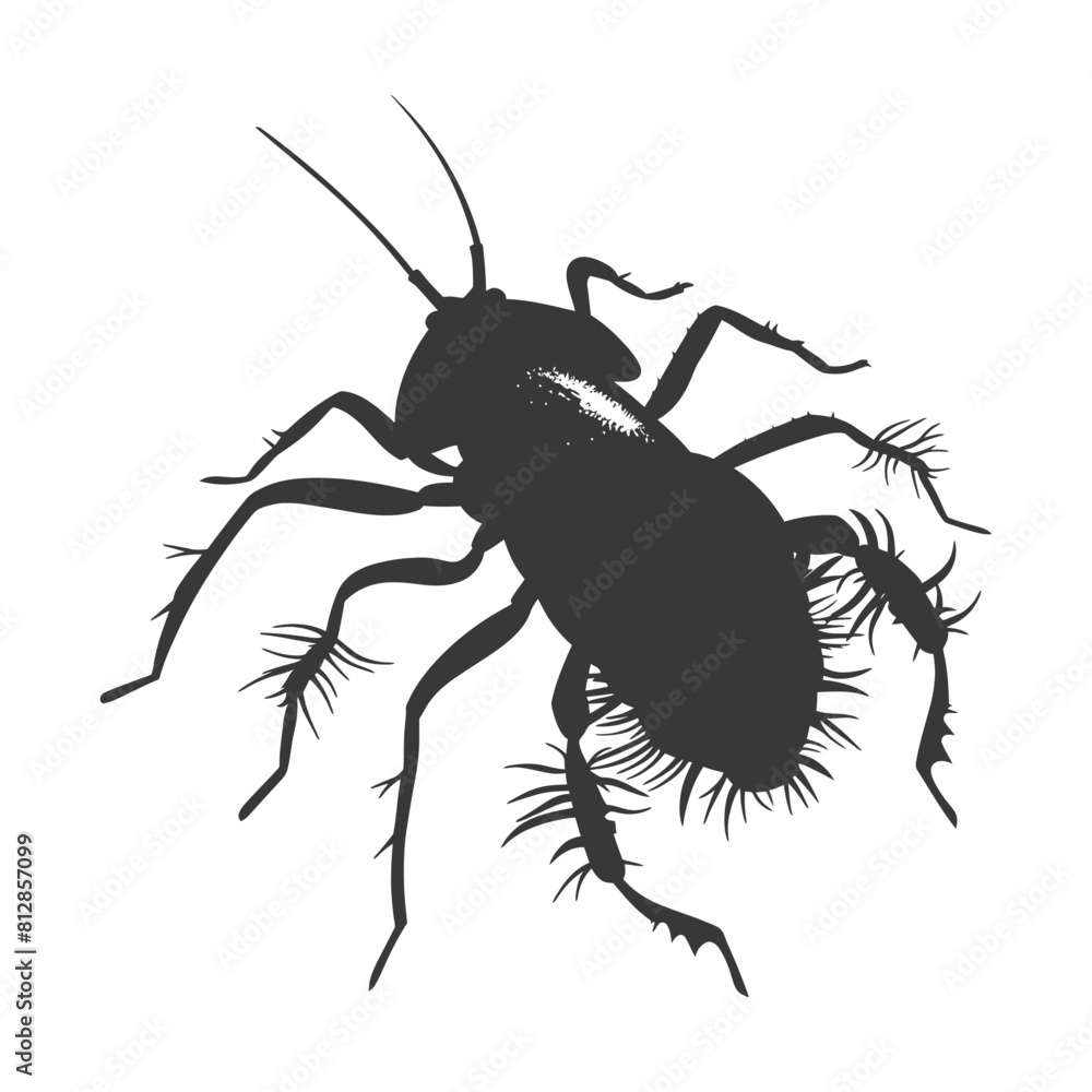 Silhouette lice animal black color only Silhouette lice animal black color only
