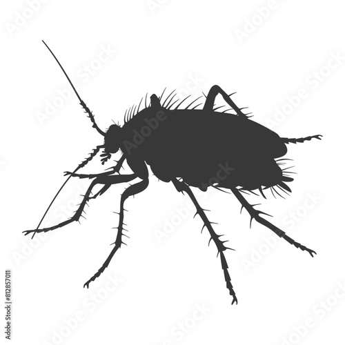 Silhouette lice animal black color only