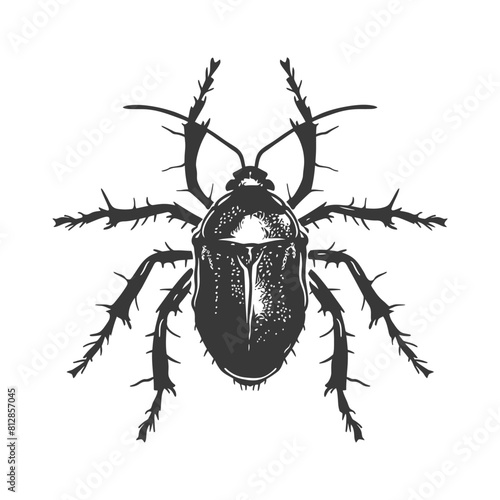 Silhouette lice animal black color only