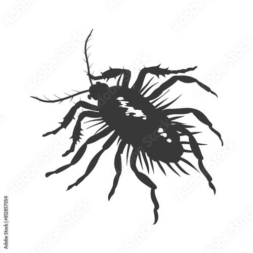 Silhouette lice animal black color only