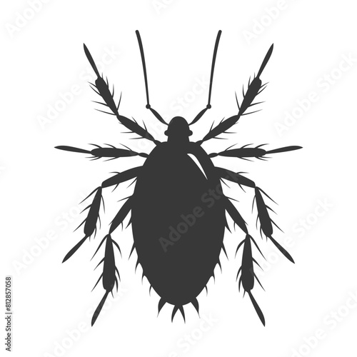 Silhouette lice animal black color only