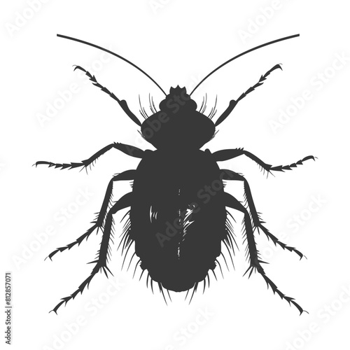 Silhouette lice animal black color only