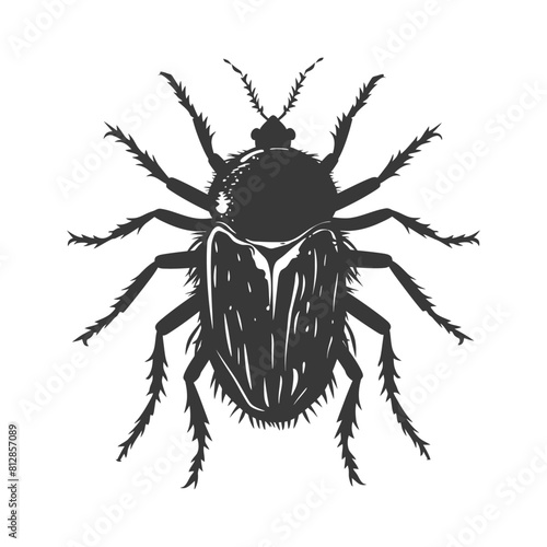Silhouette lice animal black color only