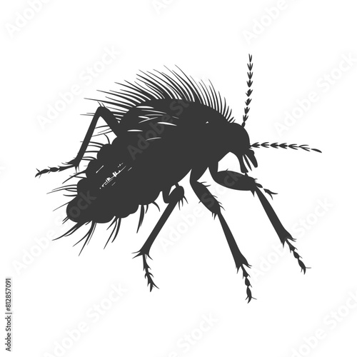 Silhouette lice animal black color only