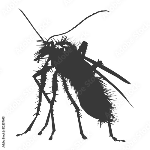 Silhouette lice animal black color only
