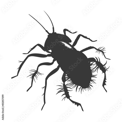 Silhouette lice animal black color only © NikahGeh