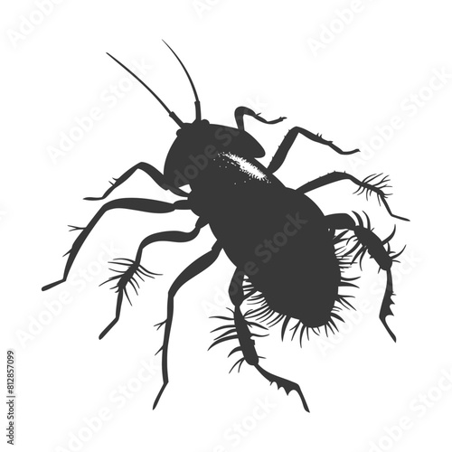 Silhouette lice animal black color only