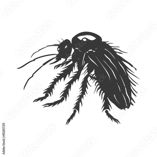 Silhouette lice animal black color only