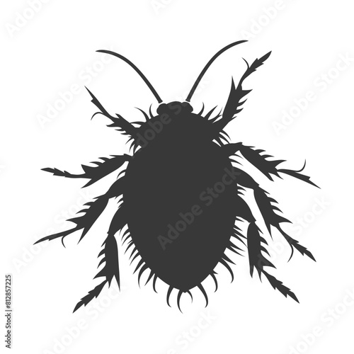 Silhouette lice animal black color only