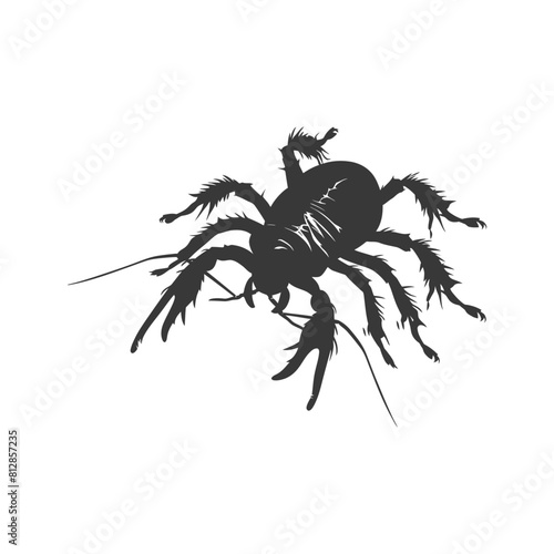 Silhouette lice animal black color only