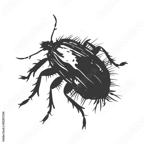 Silhouette lice animal black color only