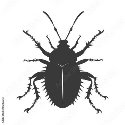 Silhouette lice animal black color only