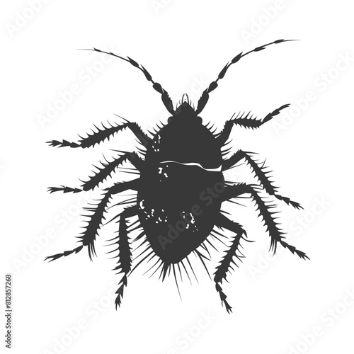 Silhouette lice animal black color only
