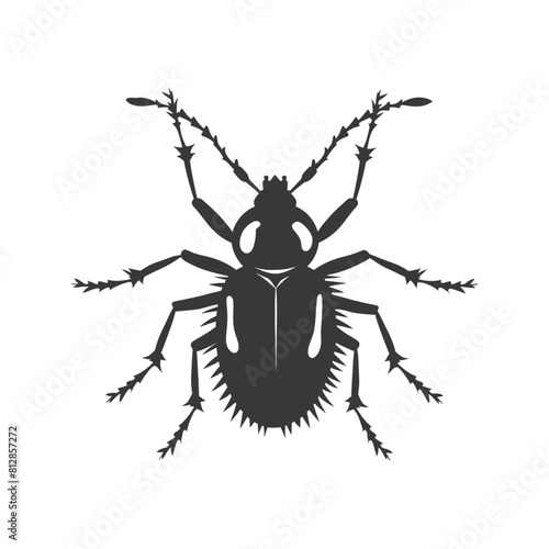 Silhouette lice animal black color only