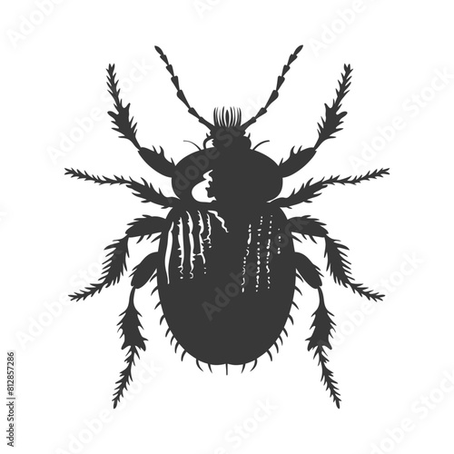Silhouette lice animal black color only
