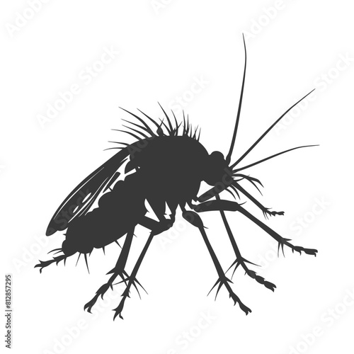 Silhouette lice animal black color only