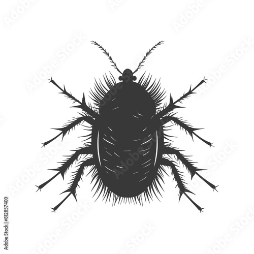 Silhouette lice animal black color only