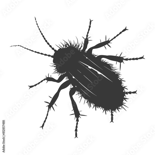Silhouette lice animal black color only