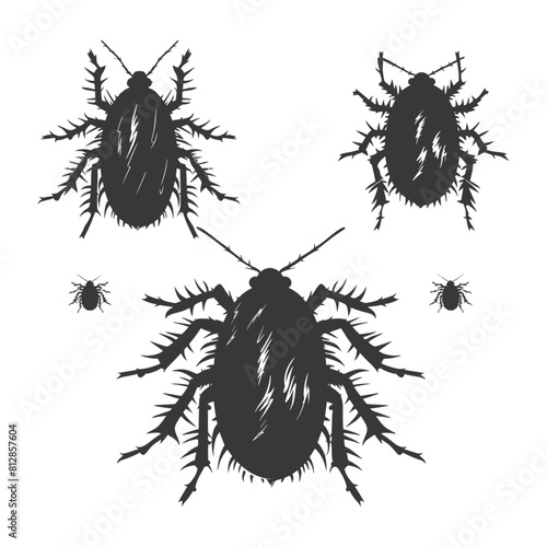 Silhouette lice animal black color only