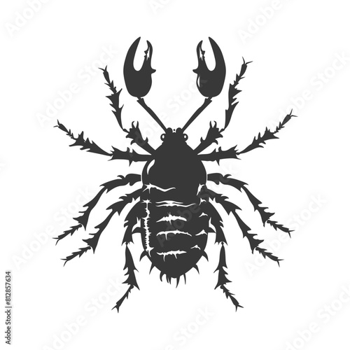 Silhouette lice animal black color only