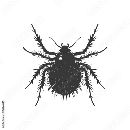 Silhouette lice animal black color only
