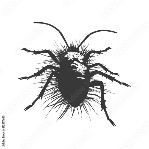 Silhouette lice animal black color only