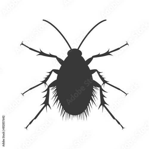 Silhouette lice animal black color only