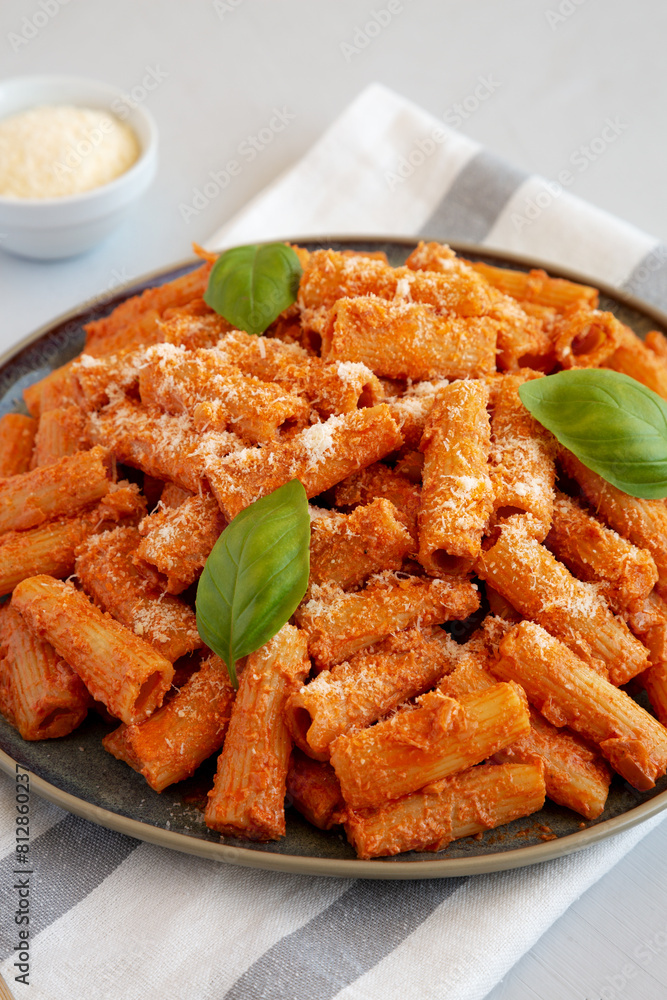 Homemade Vodka Rigatoni Pasta with Parmesan and Basil, side view. Homemade Vodka Rigatoni Pasta with Parmesan and Basil, side view.