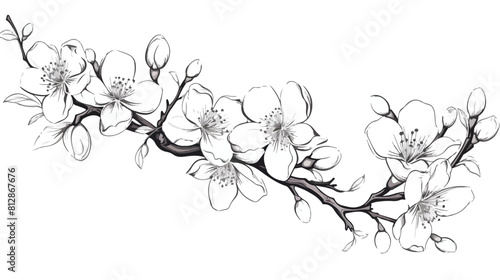 Engraved blossoming sakura branch. Hand drawn almon
