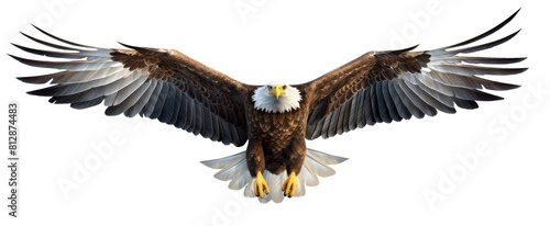 realistic an eagle is descending with its wings open with a front view, isolated on transparent png background