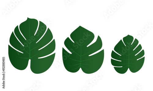 Green Palm Leaves Isolated On White Background. Vector Illustration