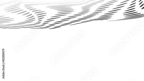 Page Edge Illustration Overlays,  halftone border with wavy distortions 