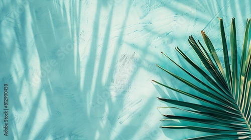 Mint Blue cement texture wall leaf plant shadow backgroundSummer tropical travel beach with minimal concept Flat lay pastel color palm nature : Generative AI photo