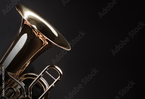 Tuba brass music instrument. Orchestra bass wind instrument euphonium