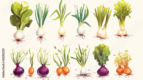 Hand drawn colorful onion micro-green sprouts sketc photo
