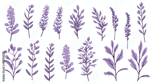 Hand drawn lavender bunches and wreath outline sket