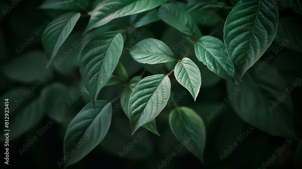 Green leaves Low key modern style toned background image : Generative AI Green leaves Low key modern style toned background image : Generative AI